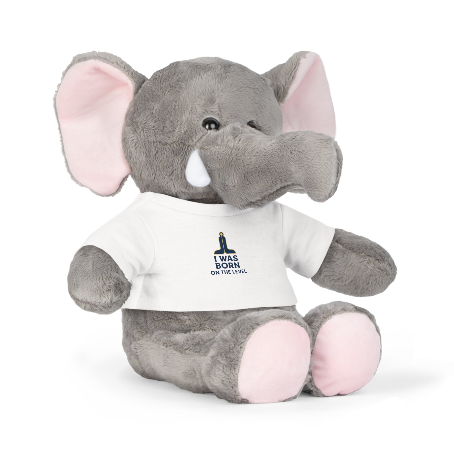 Master Mason Blue Lodge Teddy Bear - I Was Born On the Level 4 Plushies - Bricks Masons
