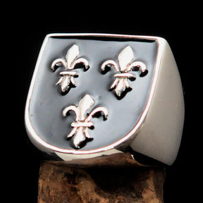 Knights Templar Ring - Black Fleur De Lis Sterling Silver - Bricks Masons